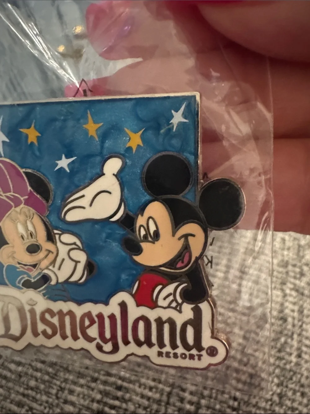 Disney disneyland resort